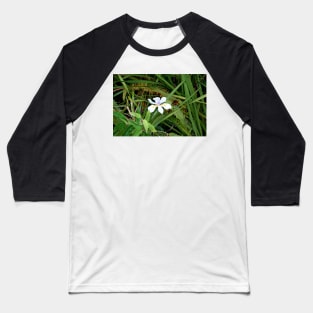 Maui Botanic Gardens Study 3 Baseball T-Shirt